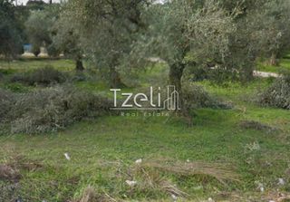 Αγροτεμάχια 5.364 τ.μ. για πώληση, Αχαΐα, Ρίο-thumb-12