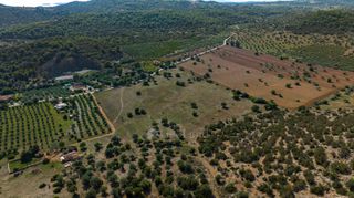 Αγροτεμάχια 50.000 τ.μ. για πώληση, Αργολίδα, Ερμιόνη-thumb-11