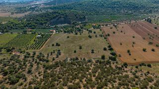 Αγροτεμάχια 50.000 τ.μ. για πώληση, Αργολίδα, Ερμιόνη-thumb-7
