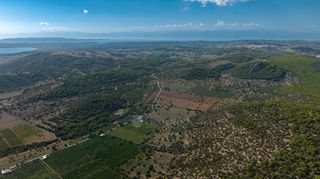 Αγροτεμάχια 50.000 τ.μ. για πώληση, Αργολίδα, Ερμιόνη-thumb-18