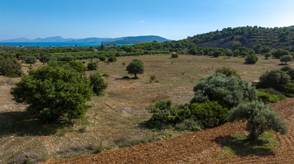 Αγροτεμάχια 50.000 τ.μ. προς πώληση, Άγιος Βλάσιος Ερμιόνης