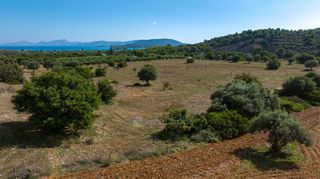 Αγροτεμάχια 50.000 τ.μ. για πώληση, Αργολίδα, Ερμιόνη-thumb-2