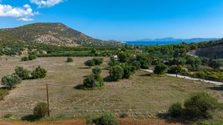 Αγροτεμάχια 50.000 τ.μ. για πώληση, Αργολίδα, Ερμιόνη-thumb-10