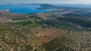 Αγροτεμάχια 50.000 τ.μ. για πώληση, Αργολίδα, Ερμιόνη-thumb-13