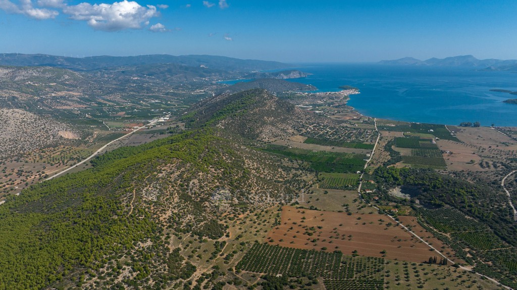 Αγροτεμάχια 50.000 τ.μ. προς πώληση, Άγιος Βλάσιος Ερμιόνης