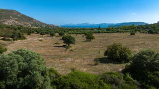 Αγροτεμάχια 50.000 τ.μ. για πώληση, Αργολίδα, Ερμιόνη-thumb-19