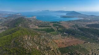 Αγροτεμάχια 50.000 τ.μ. για πώληση, Αργολίδα, Ερμιόνη-thumb-5