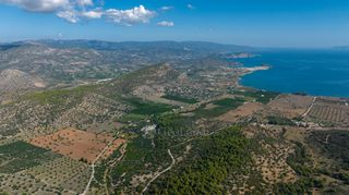 Αγροτεμάχια 50.000 τ.μ. για πώληση, Αργολίδα, Ερμιόνη-thumb-15
