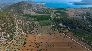 Αγροτεμάχια 50.000 τ.μ. για πώληση