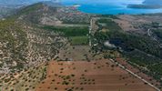 Parcel 50.000sqm for sale-Ermioni » Agios Vlasios