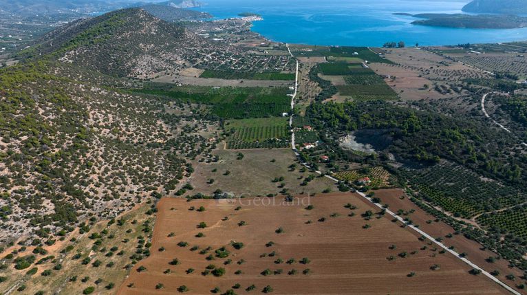Αγροτεμάχια 50.000 τ.μ. για πώληση, Αργολίδα, Ερμιόνη