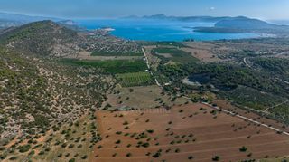 Αγροτεμάχια 50.000 τ.μ. για πώληση, Αργολίδα, Ερμιόνη-thumb-12