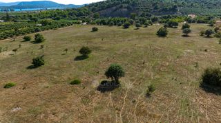 Αγροτεμάχια 50.000 τ.μ. για πώληση, Αργολίδα, Ερμιόνη-thumb-9
