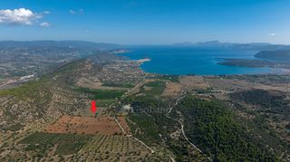Αγροτεμάχια 50.000 τ.μ. για πώληση, Αργολίδα, Ερμιόνη-thumb-3