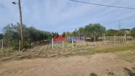 Αγροτεμάχια 720 τ.μ. για πώληση