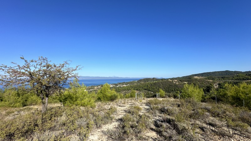 Αγροτεμάχια 9.600 τ.μ. πρός πώληση, Χαλκιδική, Κασσάνδρα
