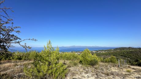 Αγροτεμάχια 9.600τ.μ. για πώληση-Κασσάνδρα » Πευκοχώρι