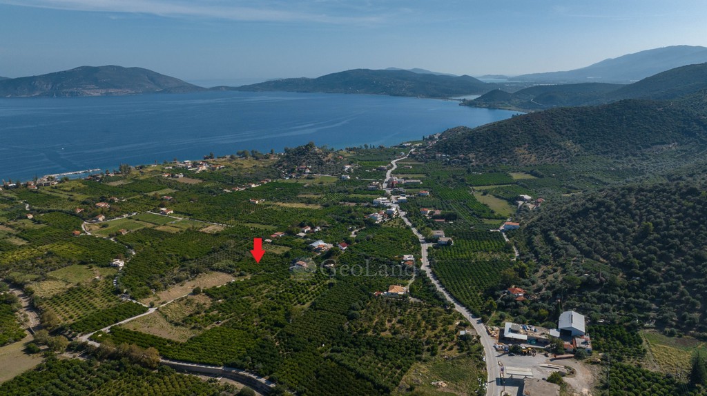 Αγροτεμάχια 2.580 τ.μ. προς πώληση, Καλλονή Τροιζήνας