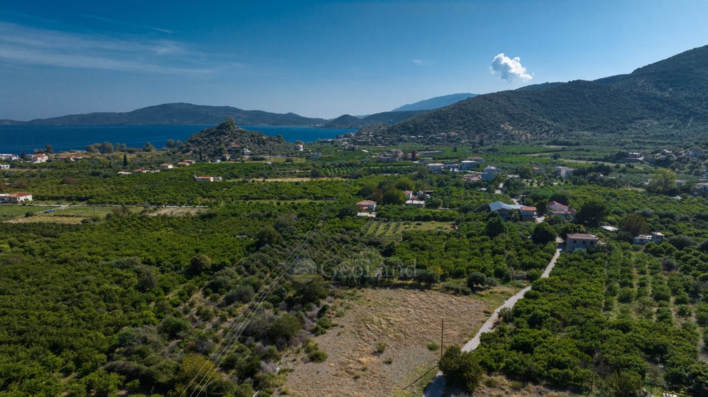 Αγροτεμάχια 2.580 τ.μ. προς πώληση, Καλλονή Τροιζήνας
