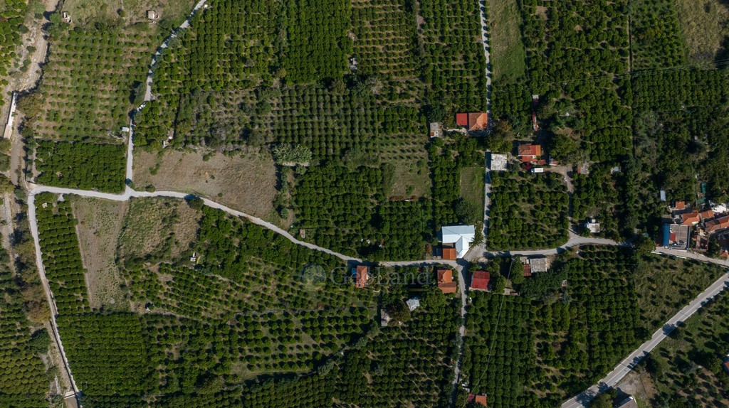 Αγροτεμάχια 2.580 τ.μ. προς πώληση, Καλλονή Τροιζήνας
