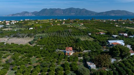 Αγροτεμάχια 2.580τ.μ. για πώληση-Τροιζήνα » Καλλονή