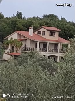 Μονοκατοικία 240 τ.μ. για ενοικίαση