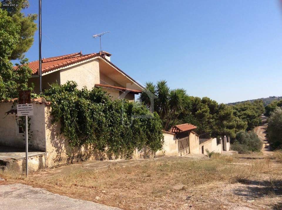 Μονοκατοικία 240 τ.μ. πρός ενοικίαση, Αττική - Υπόλοιπο, Ραφήνα
