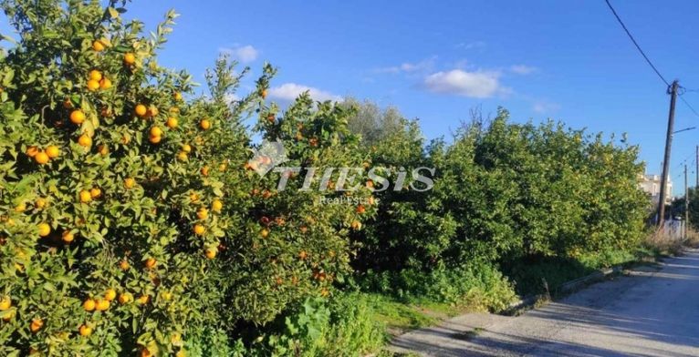 Land plot 2.248 sqm for sale, Corinthia, Sikiona