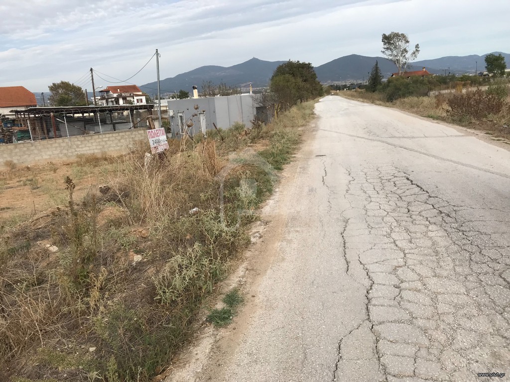 Αγροτεμάχια 2.400 τ.μ. προς πώληση, Νέο Ρύσιο