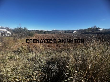 Αγροτεμάχια 8.250τ.μ. για πώληση-Θέρμη » Πλαγιάρι