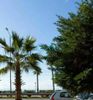 Διαμέρισμα 125τ.μ. για πώληση-Παλαιό φάληρο » Φλοίσβος