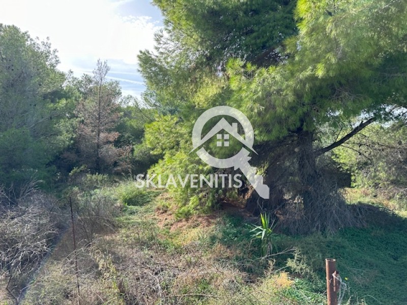 Αγροτεμάχια 220 τ.μ. πρός πώληση, Αθήνα - Ανατολικά Προάστια, Σπάτα