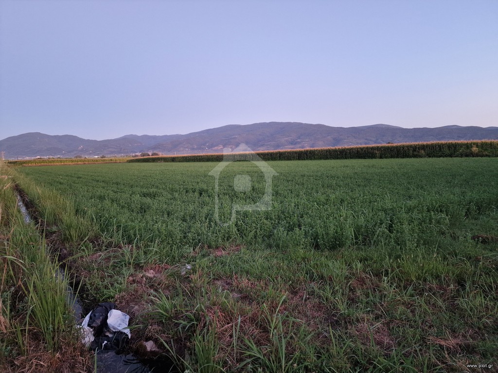 Αγροτεμάχια 11.000 τ.μ. πρός πώληση, Αιτωλοακαρνανία, Αγρίνιο