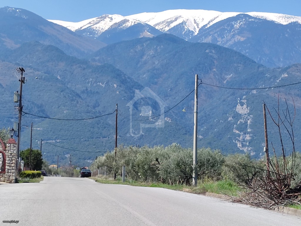 Αγροτεμάχια 317 τ.μ. πρός πώληση, Ν. Πιερίας, Ανατολικος Όλυμπος