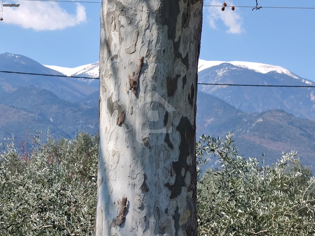 Αγροτεμάχια 317 τ.μ. πρός πώληση, Ν. Πιερίας, Ανατολικος Όλυμπος