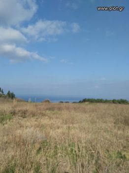 Οικόπεδο 449τ.μ. για πώληση-Κασσάνδρα » Λουλούδια