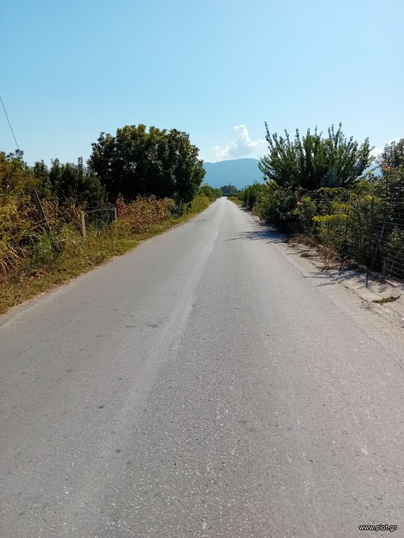 Αγροτεμάχια 2.000 τ.μ. πρός πώληση, Ημαθία, Βέροια