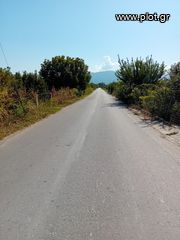 Αγροτεμάχια 2.000 τ.μ. για πώληση