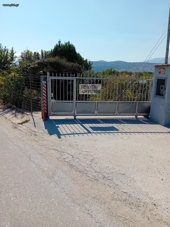 Αγροτεμάχια 2.000 τ.μ. πρός πώληση, Ημαθία, Βέροια
