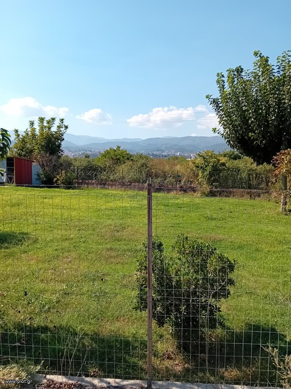 Αγροτεμάχια 2.000 τ.μ. πρός πώληση, Ημαθία, Βέροια