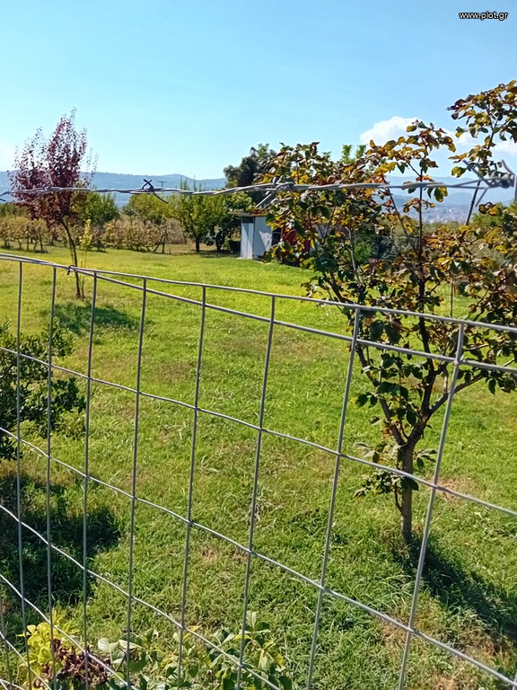 Αγροτεμάχια 2.000 τ.μ. πρός πώληση, Ημαθία, Βέροια