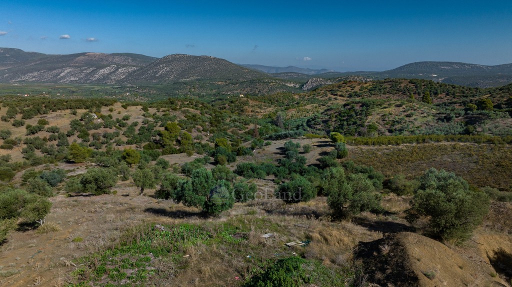 Αγροτεμάχια 100.943 τ.μ. προς πώληση, Νέα Επίδαυρος