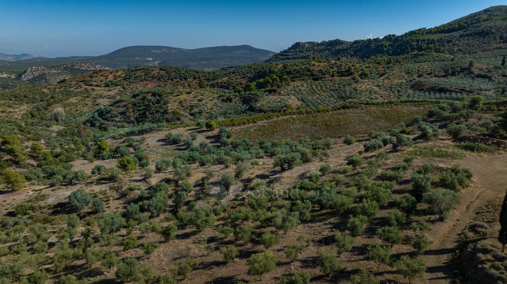 Αγροτεμάχια 100.943 τ.μ. προς πώληση, Νέα Επίδαυρος