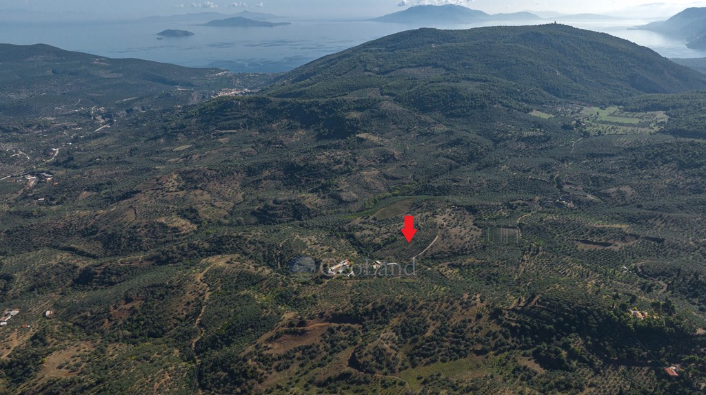 Αγροτεμάχια 100.943 τ.μ. προς πώληση, Νέα Επίδαυρος