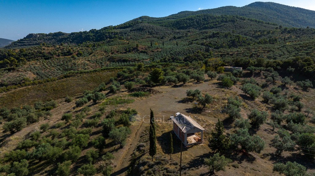 Αγροτεμάχια 100.943 τ.μ. προς πώληση, Νέα Επίδαυρος
