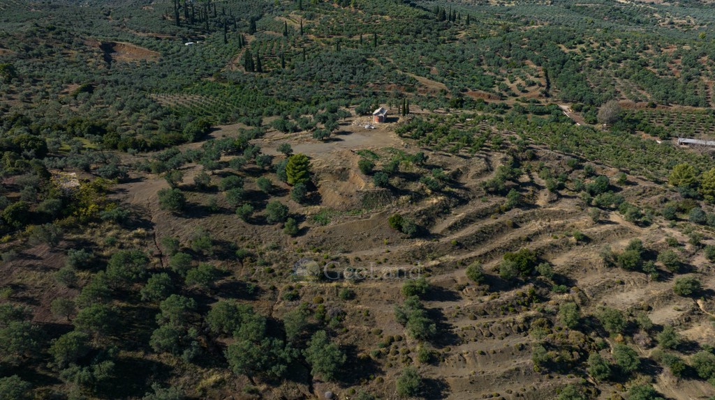 Αγροτεμάχια 100.943 τ.μ. προς πώληση, Νέα Επίδαυρος