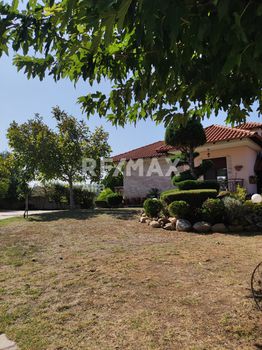 Βίλλα 480τ.μ. για πώληση-Θερμαϊκός » Νέοι επιβάτες