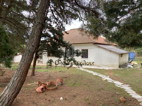 Αγροτεμάχια 6.000τ.μ. για πώληση-Μυγδονία » Μελισσοχώρι