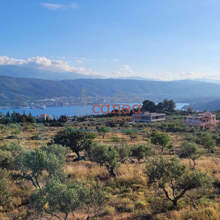 Οικόπεδο 2.544 τ.μ. προς πώληση, Πιθάρι