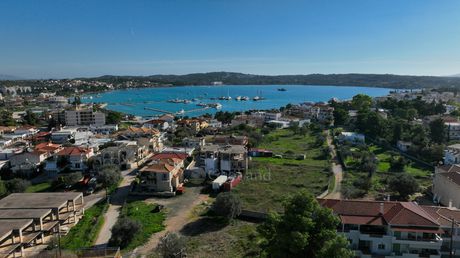 Αγροτεμάχια 810τ.μ. για πώληση-Κρανίδι » Πορτοχέλι